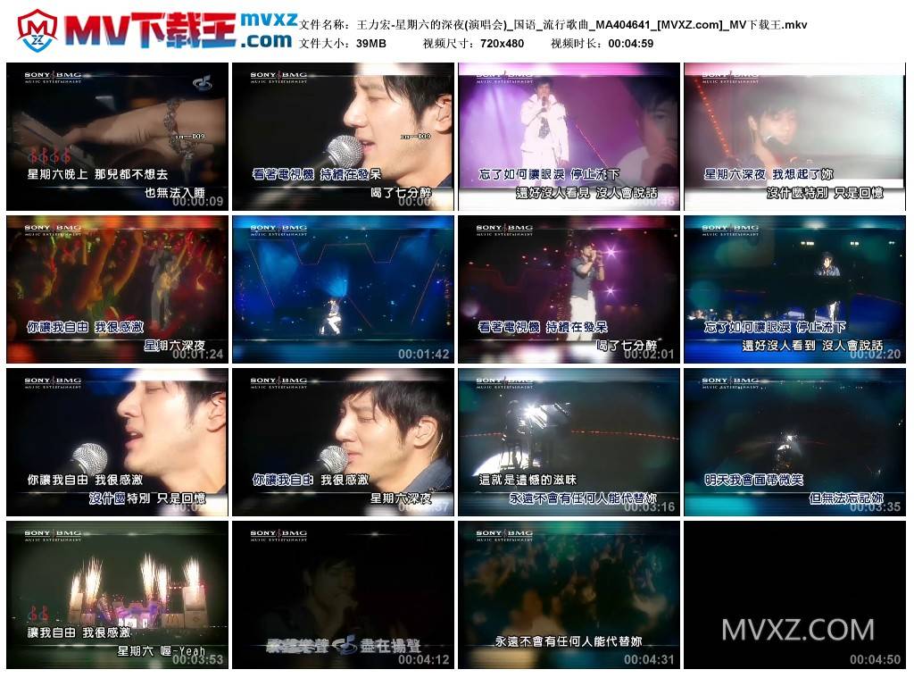 王力宏-星期六的深夜(演唱会)_国语_流行歌曲_MA404641